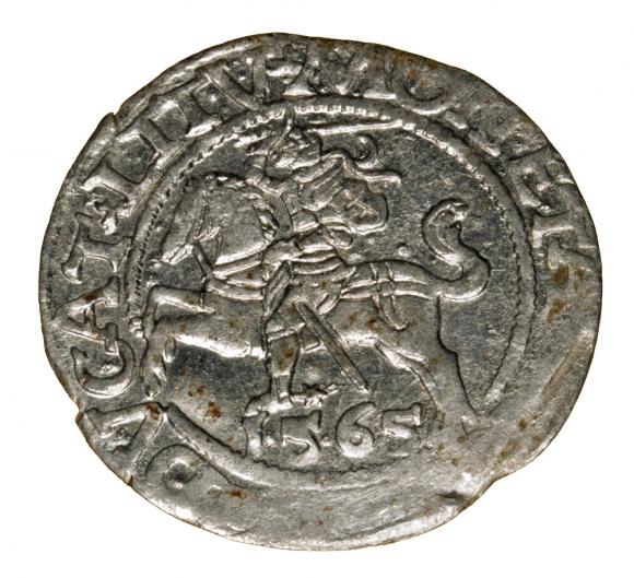 Półgrosz 1564 Zygmunt II August Wilno