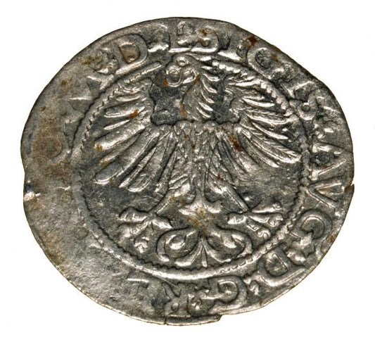 Półgrosz 1564 Zygmunt II August Wilno