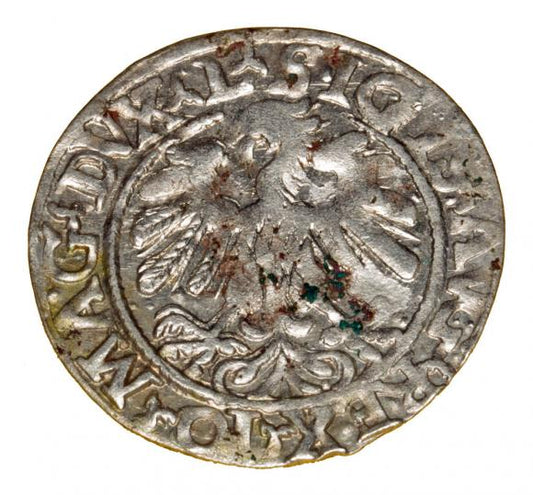Półgrosz 1559 Zygmunt II August Wilno