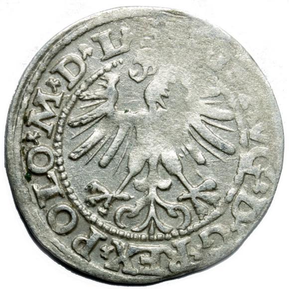 Półgrosz 1563 Zygmunt II August Wilno