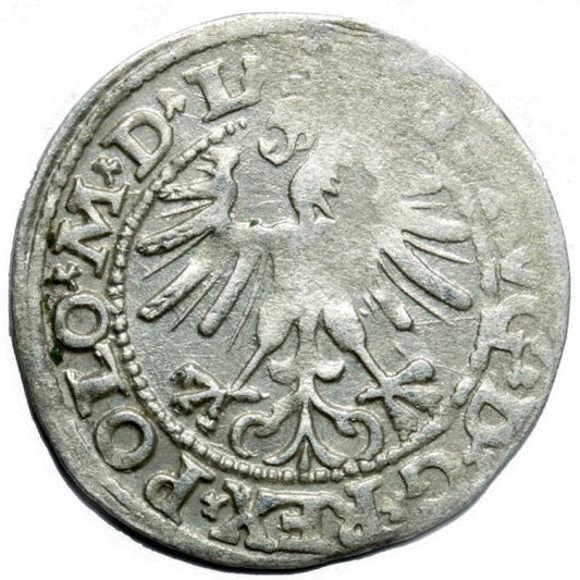 Półgrosz 1563 Zygmunt II August Wilno