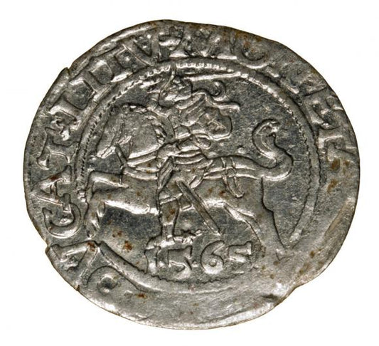 Półgrosz 1564 Zygmunt II August Wilno