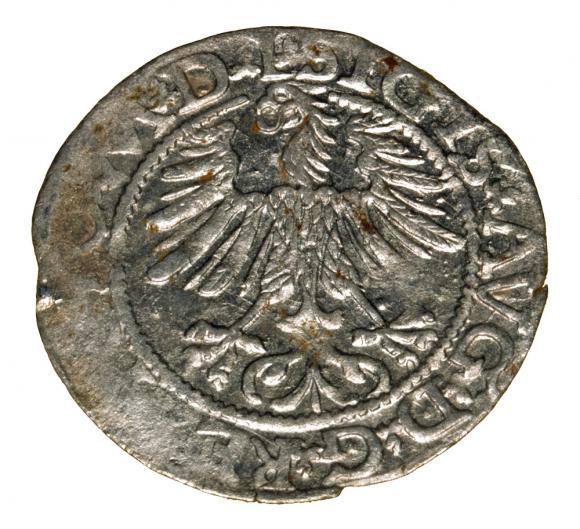 Półgrosz 1564 Zygmunt II August Wilno