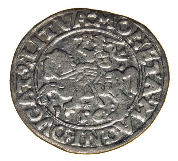Półgrosz 1556 Zygmunt II August Wilno