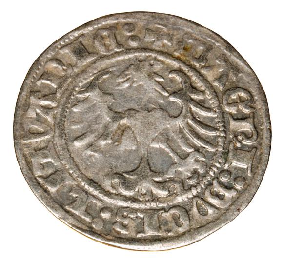 Półgrosz 1514 Zygmunt I Stary Litwa Wilno